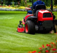 Grass around north Tipperary ‘cut within an inch of its life’