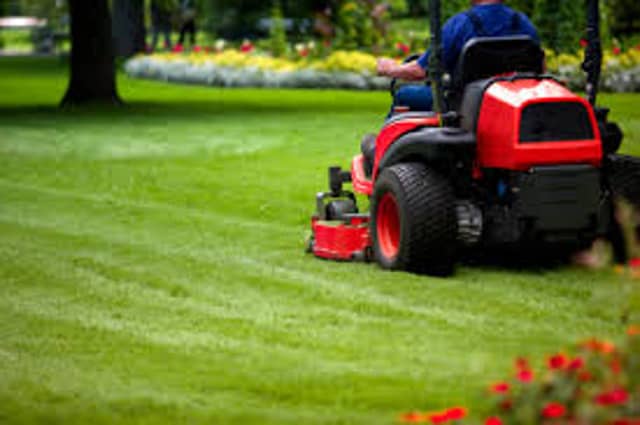 Councillor Seamus Morris said at the meeting that the current grass-cutters were ‘driving around like Formula One drivers’
