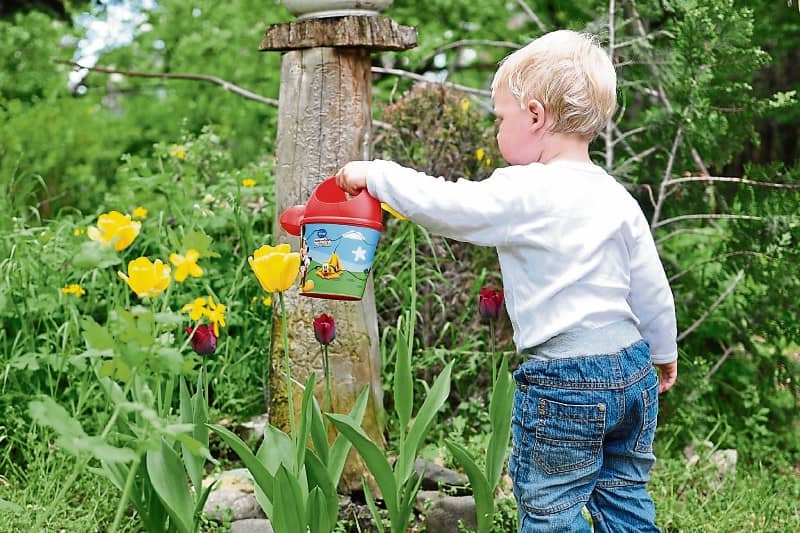Watering plants is a great little job for young gardeners Picture: Pixabay