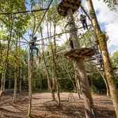 High ropes at Castlecomer Discovery Park
