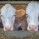 Tipperary farm leaders Tim Cullinan and Pat McCormack have issued CAP review warnings