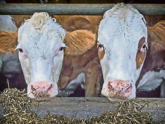 Tipperary farm leaders Tim Cullinan and Pat McCormack have issued CAP review warnings