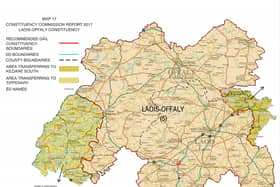 The Laois Offaly constituency for 2020