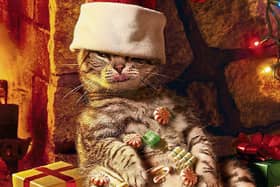 Christmas doesn't have to be the season of overindulgence