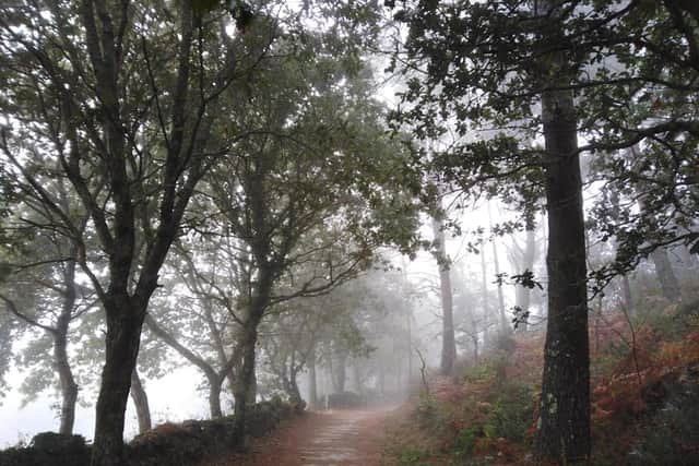 "Thank you all so much” said Martine” (who found the whole experience very rewarding and emotional (save for the a few blisters at the end of the walk!).