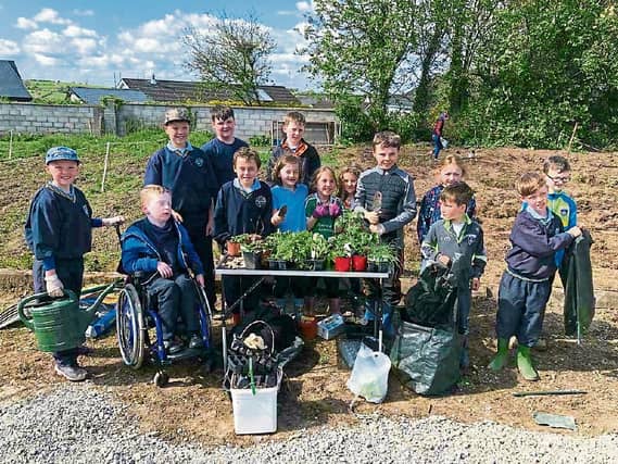 The pupils of Cloverfield NS are reaping what they sow in their new allotment
