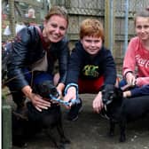 Suzanne, Sean, Alannah and Tom Leddy with Ben and Gerry at a previous KWWSPCA Open Day. Photo Aishling Conway