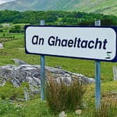 Patricia claims the Irish language belongs to something far greater than our insular national soul...it is a national treasure for decades