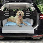Make sure your pets travel in comfort and safety!