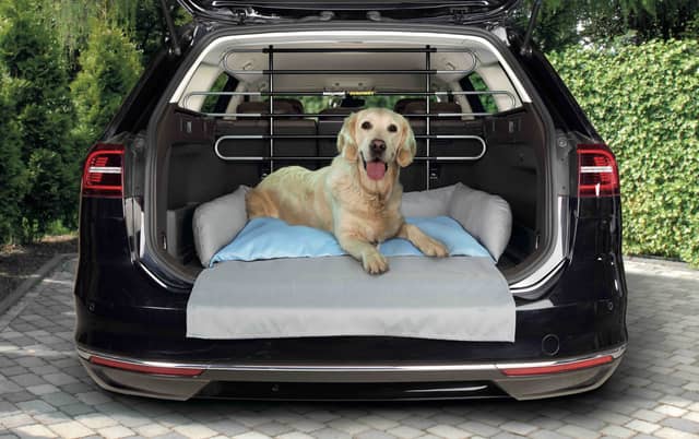 Make sure your pets travel in comfort and safety!