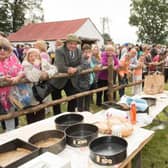 Hollywood Fair on Sunday, August 11 presents great spectacle with exhibitions of traditional vintage skills and farming practices