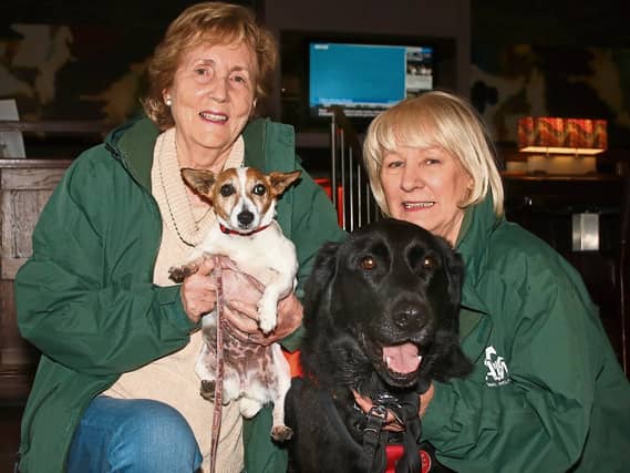 Marion Fitzgibbon, chairperson of Limerick animal welfare and Geraldine Gunning, vice chairperson with Gypsy and Oak | Picture: Adrian Butler