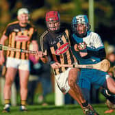 Bill Sheehan has strong Cappamore links | Picture: Sportsfile