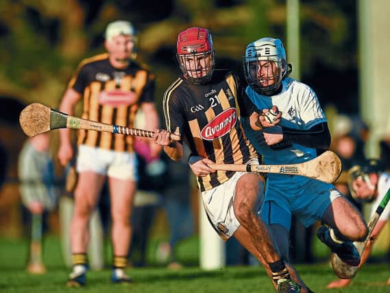 Bill Sheehan has strong Cappamore links | Picture: Sportsfile
