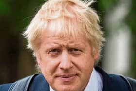 How many good jobs in the bank could Patricia have landed if it weren't for her hair style. She feels sympathy with Bojo on this one