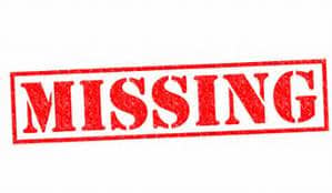 Keep an eye out for the terrier and golden retriever