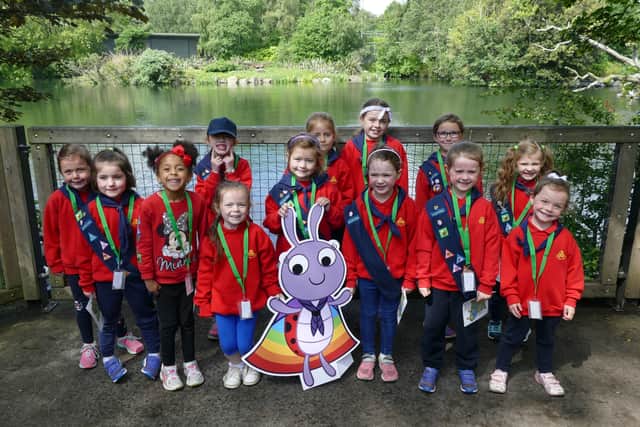 Ladybirds are the youngest members of Irish Girl Guides aged five to seven.