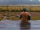‘A dry spring and a wet May, fills the haggard with corn and hay'