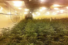 Scene of cannabis grow house in Killaloe | Picture: An Garda Siochana