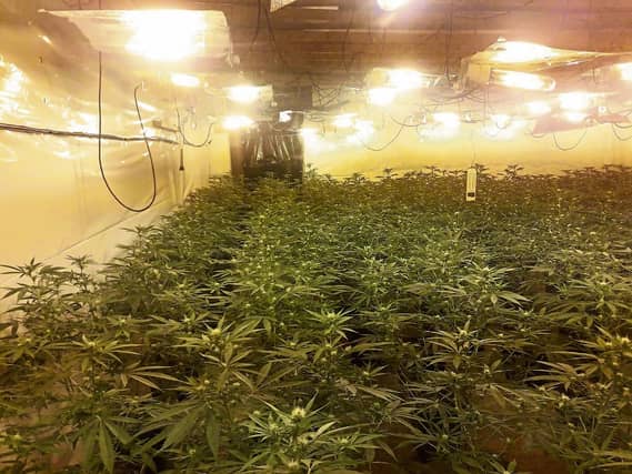 Scene of cannabis grow house in Killaloe | Picture: An Garda Siochana