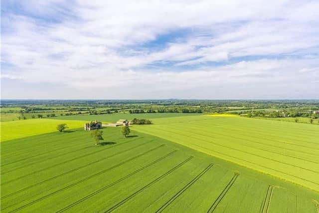 The house itself dates back to the 15th centurey when it was built around 1417 by John Wogan, who was granted the Manor of Rathcoffey and although it changed ownership many times, it was John Wogan's descendants that built the castle.