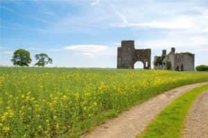 The lands are also drained well with mature hedging surrounding most of the boundary, and there are 2 access points into the lands with the main access coming from the village side of the lands in Rathcoffey and there is further access from the far side of the farm with good road frontage.