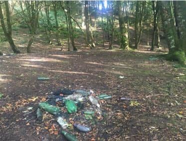 The actor posted photos on Twitter of litter, trash bags and graffiti in a woodland area near his home, and he's calling on local people to take more pride in their surroundings.