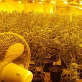 Almost €1 million worth of drugs seized in Waterford