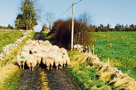 Lip service to the culchies: A lot of people want to talk about the decline in rural Ireland but no one is offering any real solutions