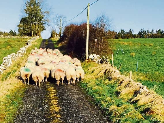 Lip service to the culchies: A lot of people want to talk about the decline in rural Ireland but no one is offering any real solutions