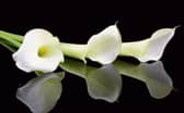 Tipperary Star Deaths