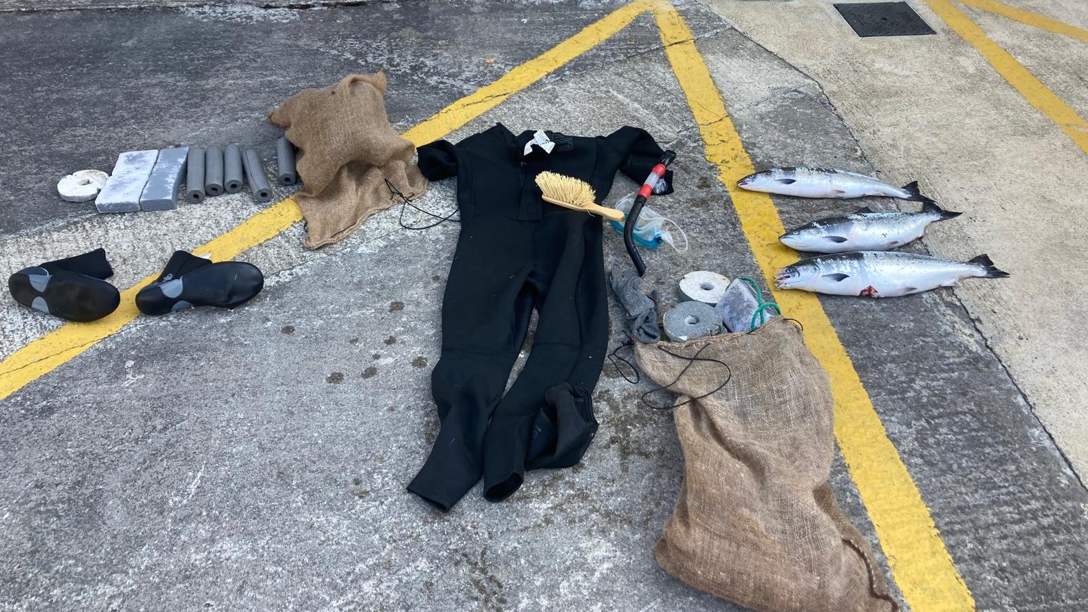 The seized wetsuit, snorkel and three salmon