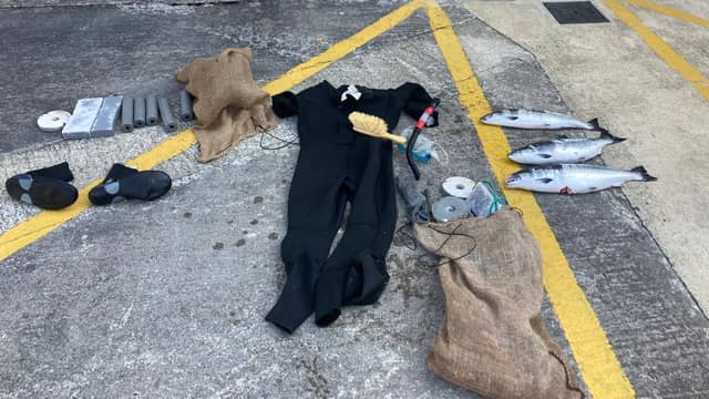 The seized wetsuit, snorkel and three salmon