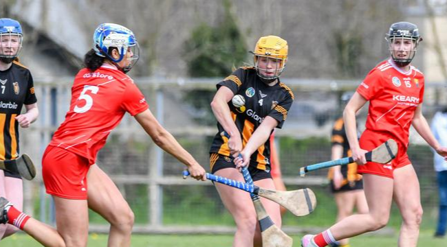 Sofia Kerr (Kilkenny) in action against Lizzie O’Donovan (Cork). Picture: Billy Culleton