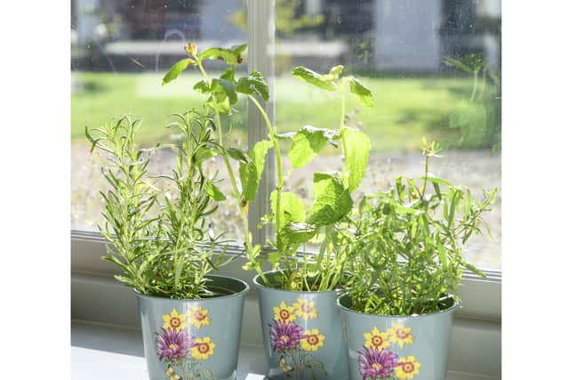 Add plants, flowers and a herb garden