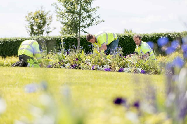 Buncrana Town Gardener George McDermott with his Seamus McLaughlin and Dean McDermott getting Buncrana ready for the Dubai Duty Free Irish Open