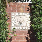 A small water features from Phyl's garden