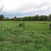 The site of the proposed housing development Picture: Michael Cowhey