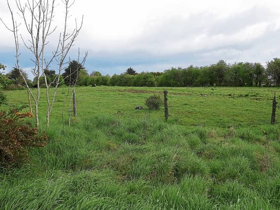 The site of the proposed housing development Picture: Michael Cowhey
