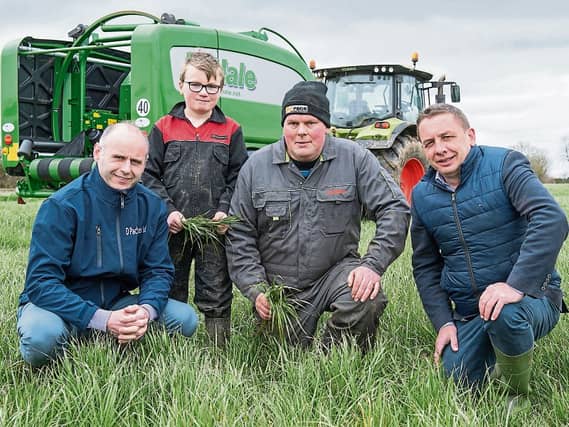 Ready to roll: David Ryan, Padraig Halpin, Pat Halpin and Sean O’Connor Picture: O’Gorman Photography