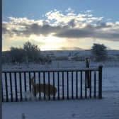 The scene in Ballyfoyle, north Kilkenny this morning