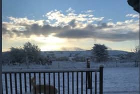 The scene in Ballyfoyle, north Kilkenny this morning
