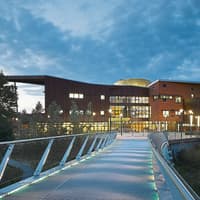 Limerick students warned of 'serious consequences' of Halloween misconduct