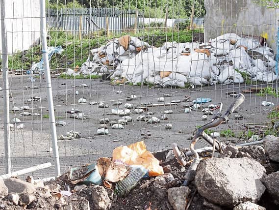 The An Taisce inspectors were severely critical of the Galvone Industrial Estate, and alleged illegal dumping at the back of the park