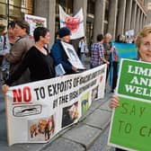 Marian Fitzgibbon said Limerick Animal Welfare was 'inundated' with calls from concerned pet owners as ex-Hurricane Ophelia raged