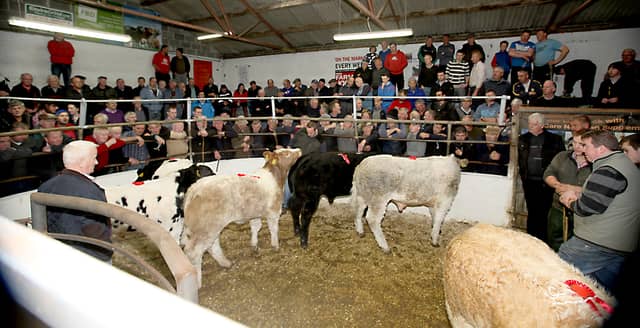 Cattle in the ring at Donegal Mart. (File image).