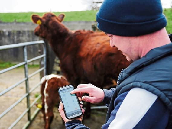 Nigel Flannery using his Herdwatch app