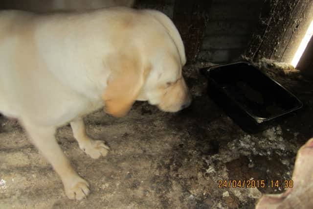 Judge Paul Kelly described the conditions in photographs he was shown as “appalling”.