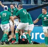 Ireland celebrate All Black win