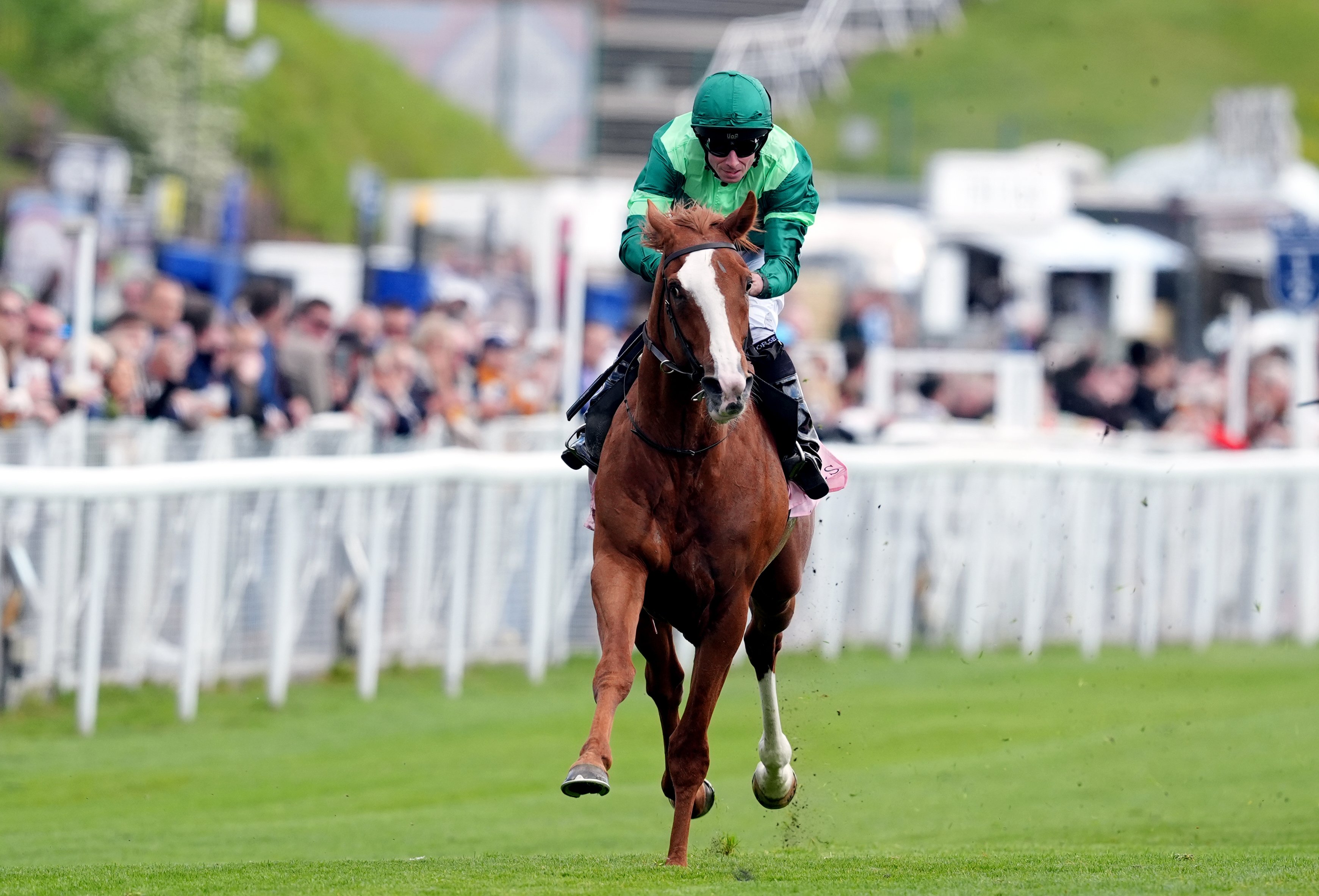 Benvenuto Cellini power-packed at the finish in Chester Vase